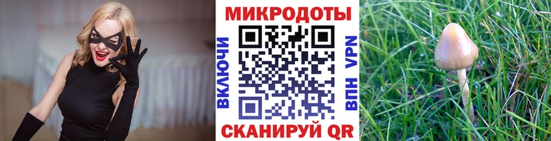 дарк нет наркотические препараты  Волосово  Галлюциногенные грибы Magic Shrooms 