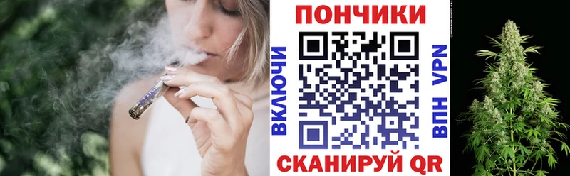 где купить наркоту  Волосово  mega рабочий сайт  Марихуана гибрид 